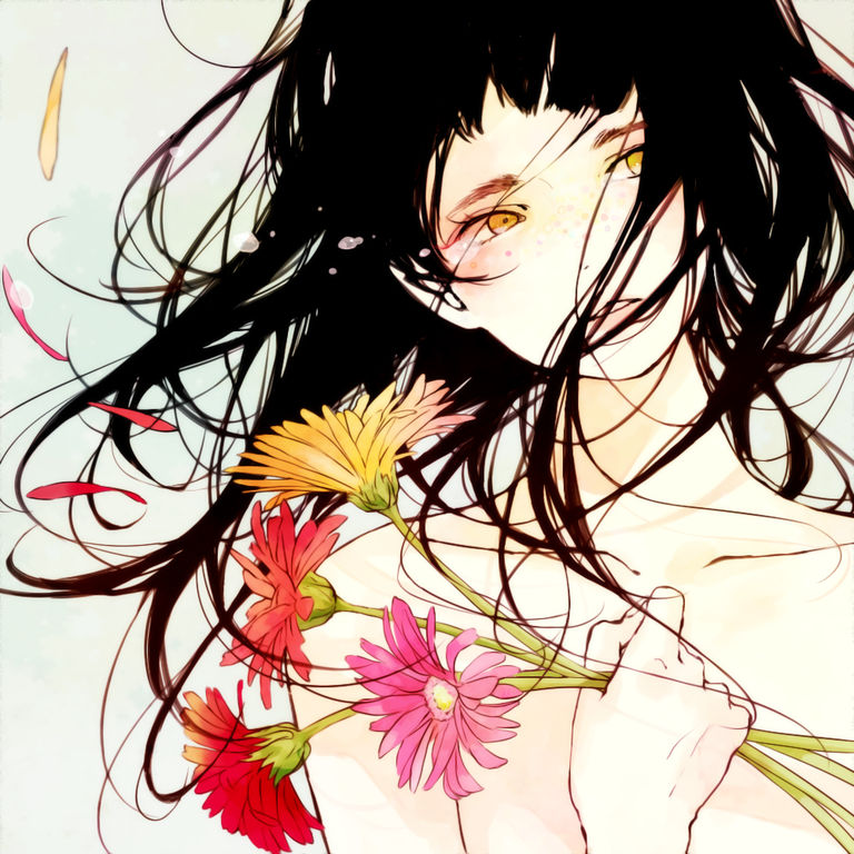 Drawings of Gerberas - So many colors and meanings! colors, drawings, gerberas, many, so 14 Drawings of Gerberas - So many colors and meanings!
