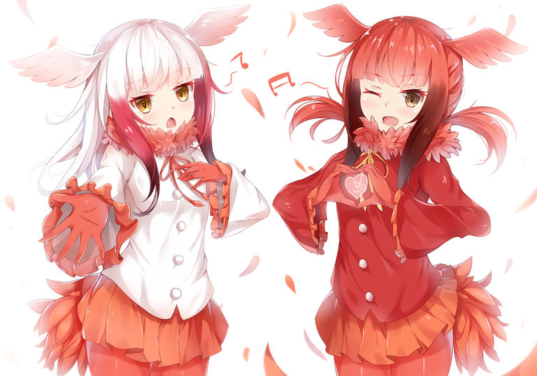 Drawings of Wing Ears - Fluffy Fluttering. drawings, ears, fluffy, fluttering, wing 1 Drawings of Wing Ears - Fluffy Fluttering.