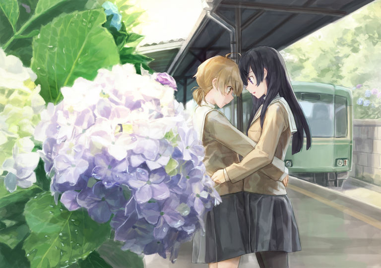 Drawings of Hydrangea - Calm in Bloom. bloom, calm, drawings, hydrangea, pixiv 1 Drawings of Hydrangea - Calm in Bloom.