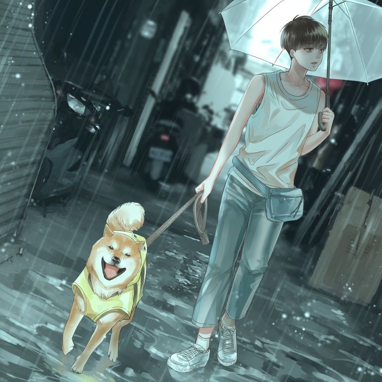 Shiba Inu is Fluffiness. - Awww!!! awww, fluffiness, inu, pixiv, shiba 11 Shiba Inu is Fluffiness. - Awww!!!