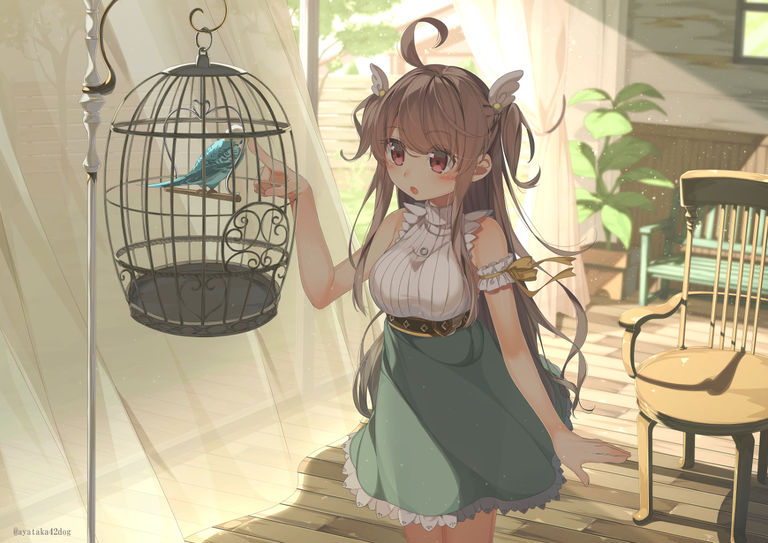 Drawings of Bird Cages - What Will You Catch? bird, cages, drawings, what, will 6 Drawings of Bird Cages - What Will You Catch?