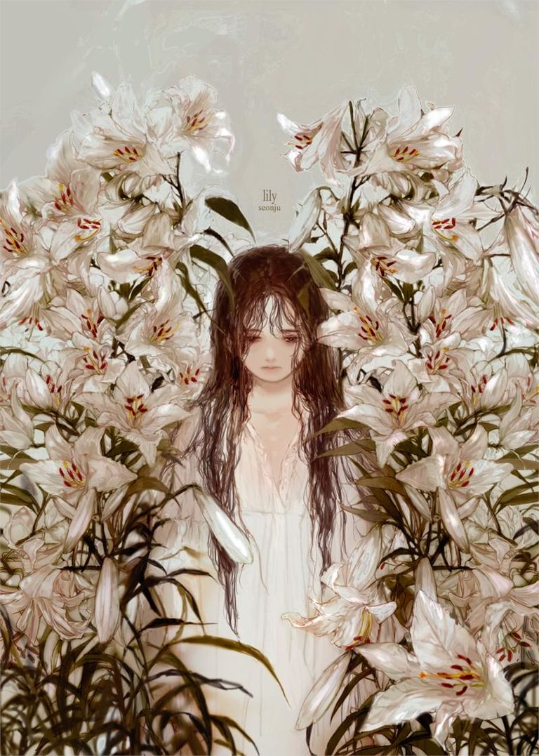 Drawings of White Lilies - The Language of Flowers is Pure. drawings, flowers, language, lilies, white 17 Drawings of White Lilies - The Language of Flowers is Pure.